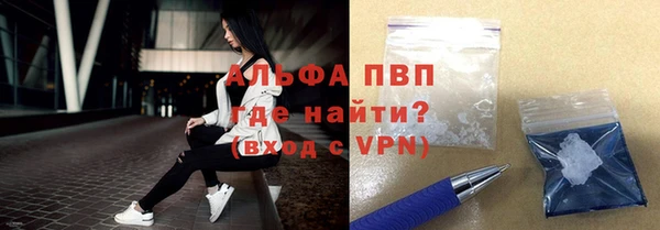 стафф Саяногорск